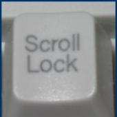 Avatar di scroll_lock