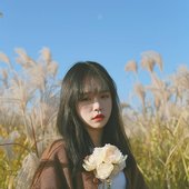 不是火花呀