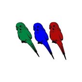 Prime Birds Logo