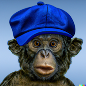 Avatar for JCSOCKs