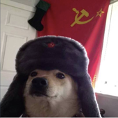 Avatar for jzz553