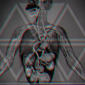 Reptil.I.Am Album Cover