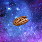 stargazerpecan 的头像