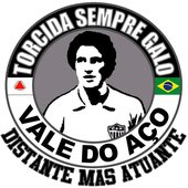 TSG VDA