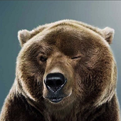 Avatar for drunk-bear