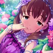 Mayu_SR8+.jpg