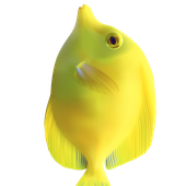 lemon-fish için avatar