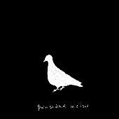 パノラマメロウ.gif
