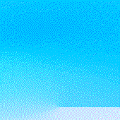 bee_anca123 的头像