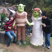 shrek ataca