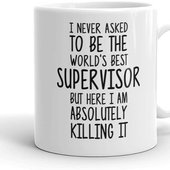 Brilliant Supervision