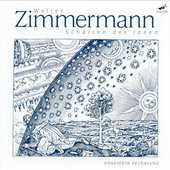 Zimmerman: Shadow Of An Idea
