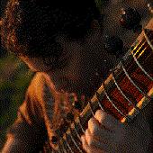 DSC_7871_web.gif