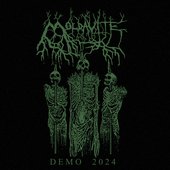 DEMO 2024