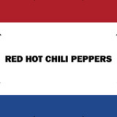 pepperoniodion 的头像