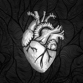 Nuevo corazón