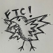 Fly The Crow!.jpg