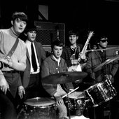 The Animals_71.jpg