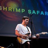 Cocoa Shrimp Safari