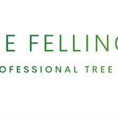 Avatar for treefellingalbe
