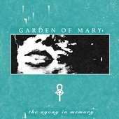 The Agony in Memory - EP