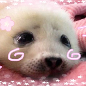 Gnacool 的头像