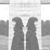 Notice - Single