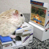 LuigiBandicoot 的头像