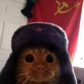 Poulitte 的头像