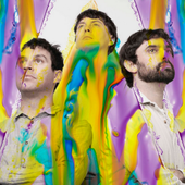 animal-collective_0.png