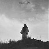 Bildungsroman cover