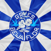 Bandeira da Beija-Flor de Nilópolis