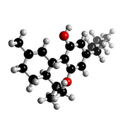 trancethc 的头像