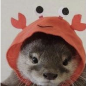 otter667 的头像