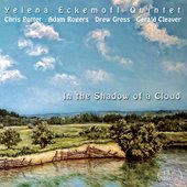 In the Shadow of a Cloud (feat. Chris Potter, Adam Rogers, Drew Gress & Gerald Cleaver)