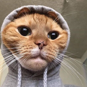Avatar für Markvb47