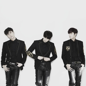 SS301.png