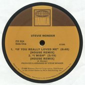 If You Really Loved Me (House remix)