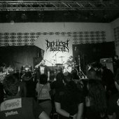 live deflesh