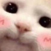 Avatar for admincutie