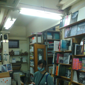 tylanin 的头像