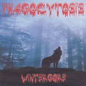 Wintergore