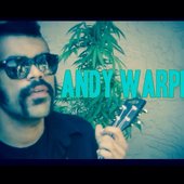 Andy Warpigs