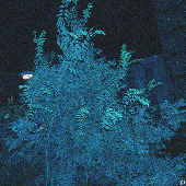 Avatar für trytofix