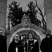 Tomb Mold