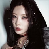 DALL (2024)