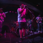 Fiebre Aviar en vivo