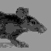 pixel-rat için avatar