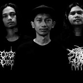 Dissecting - Group.jpg