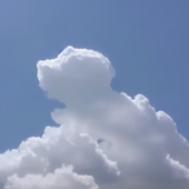 perfil.png